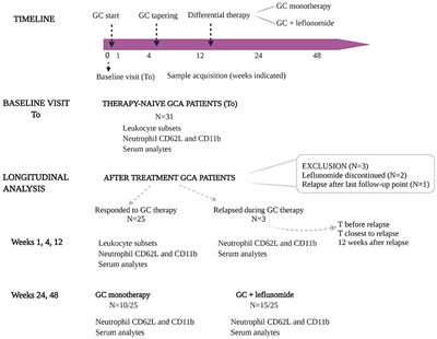 From Active to Non-active Giant Cell Arteritis: Longitudinal Monitoring of Patients on Glucocorticoid Therapy in Combination With Leflunomide